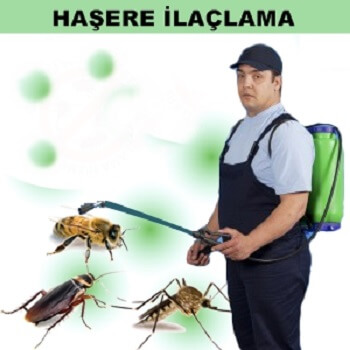 Susuz Böcek İlaçlama